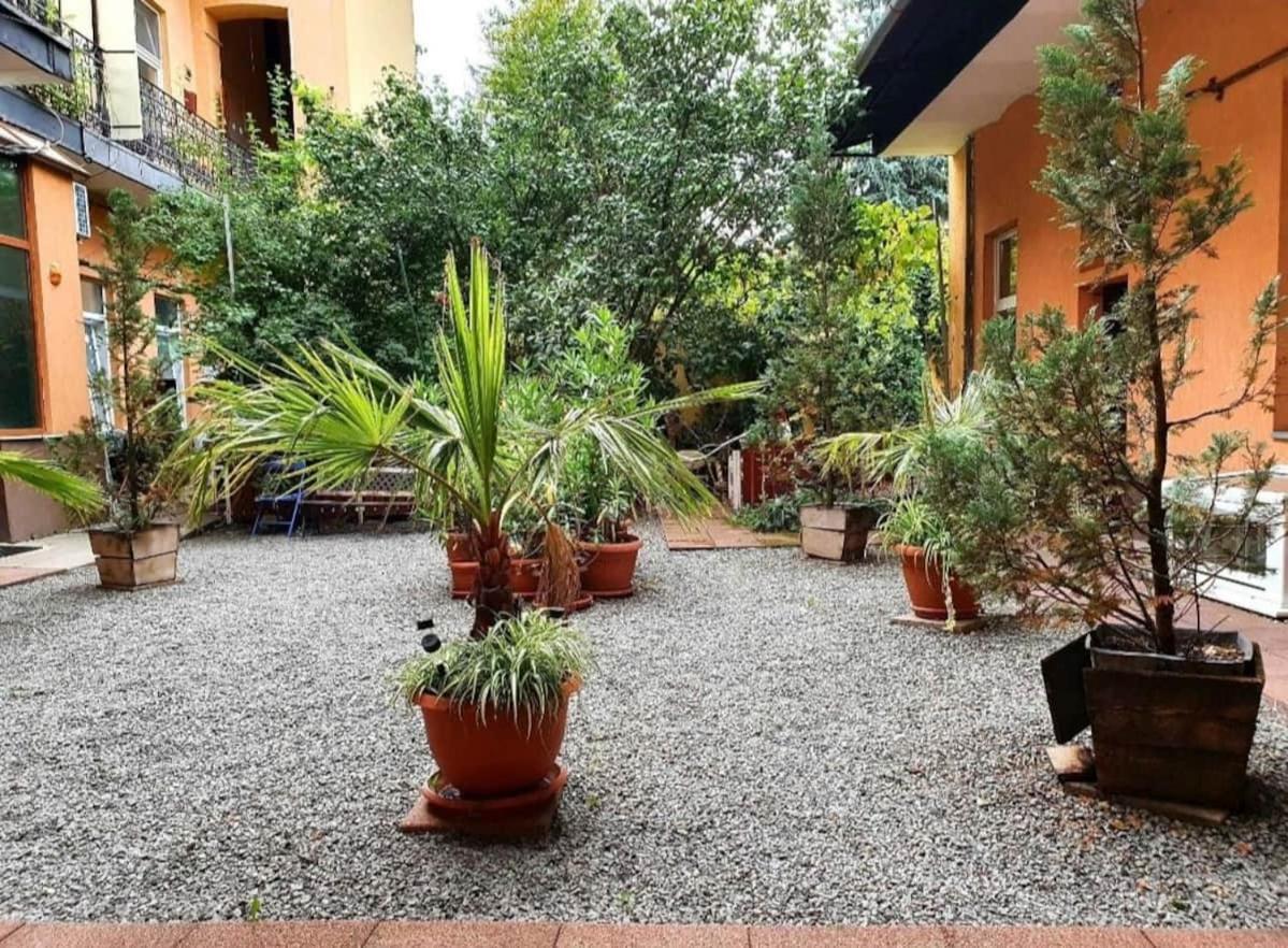 Ultracentral Cluj Napoca,Balcony,Fast Wifi,Parking Exterior photo