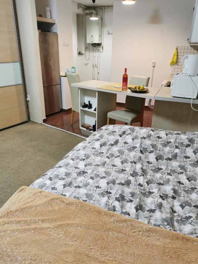 Ultracentral Cluj Napoca,Balcony,Fast Wifi,Parking Exterior photo